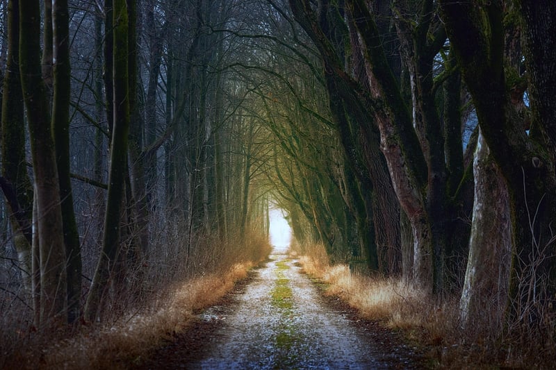 Whimsical Pathway
