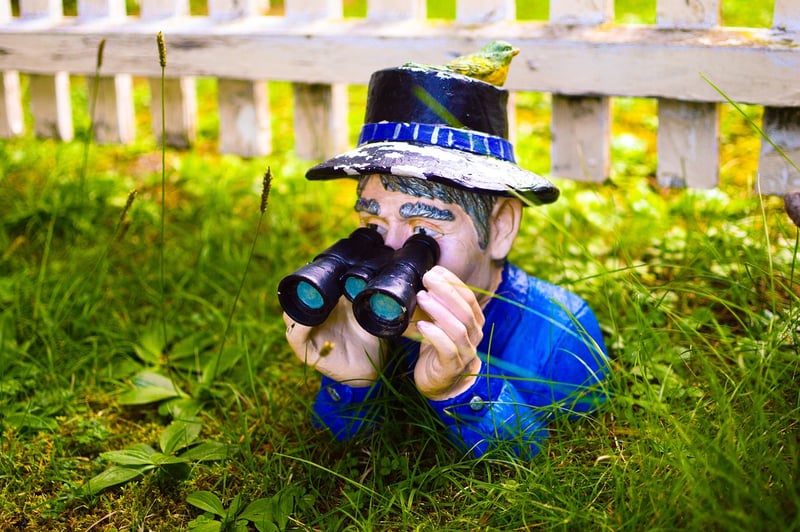 Gnomes and Goblins
