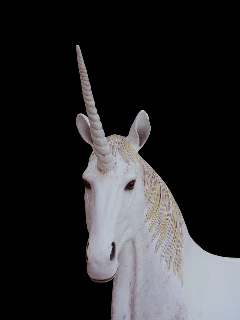 Enchanted Creatures