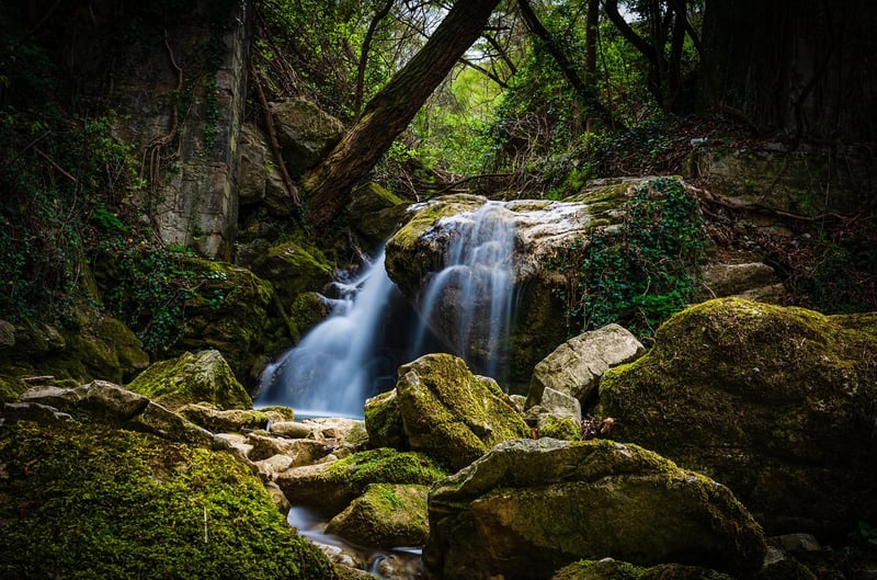 Water Feature